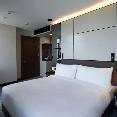 Dedeman Kartepe Hotel 5*