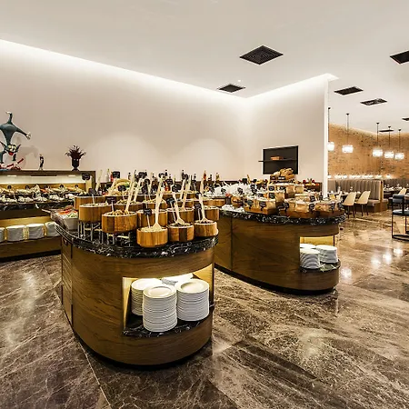 Dedeman Kartepe Hotel